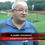 vladimir ferzanovic